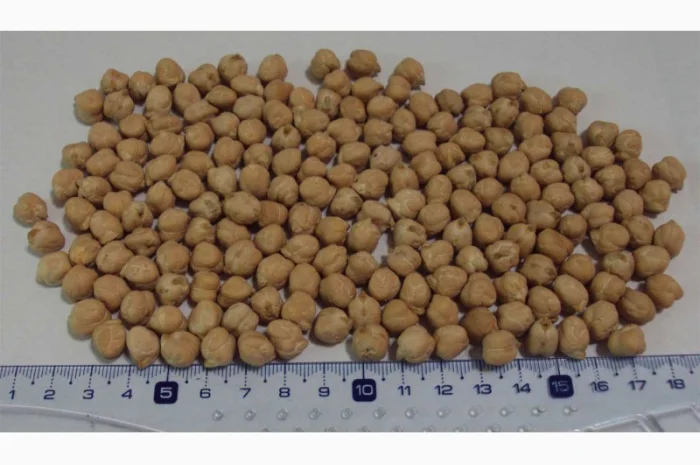 Зеленый горох и нут из Аргентины- фото № 3