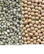 Закупаємо горох зелений, жовтий- фото № 1