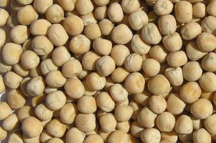 Закупка зернового гороха- фото № 1