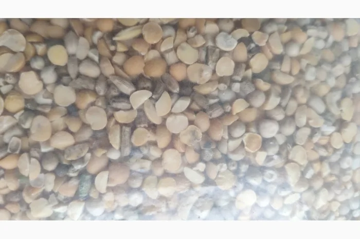 Горох позакласний - відходи горохові- фото № 1