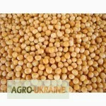 Закупівля жовтого гороху- фото № 1