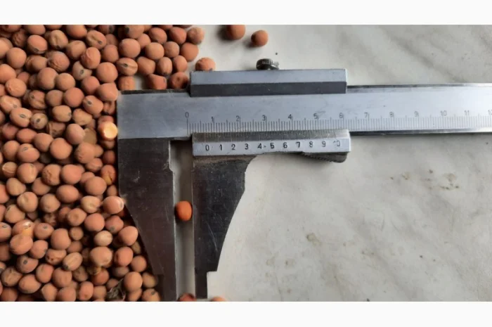 Купуємо горох Пелюшка- фото № 2