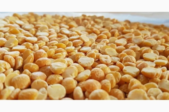 Куплю горох некондиционный- фото № 1