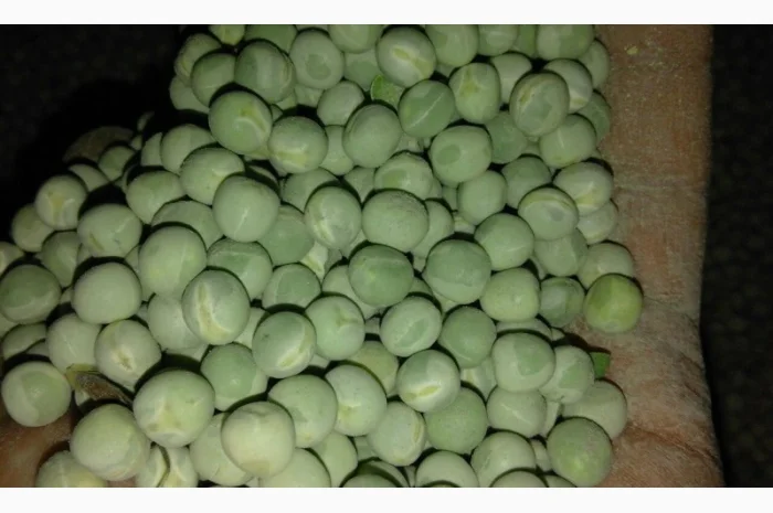 Терміново купуємо зелений та жовтий горох- фото № 1