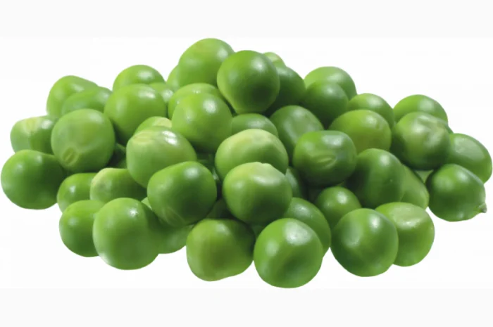 Семена гороха VERNON – канадский трансгенный сорт элита- фото № 3