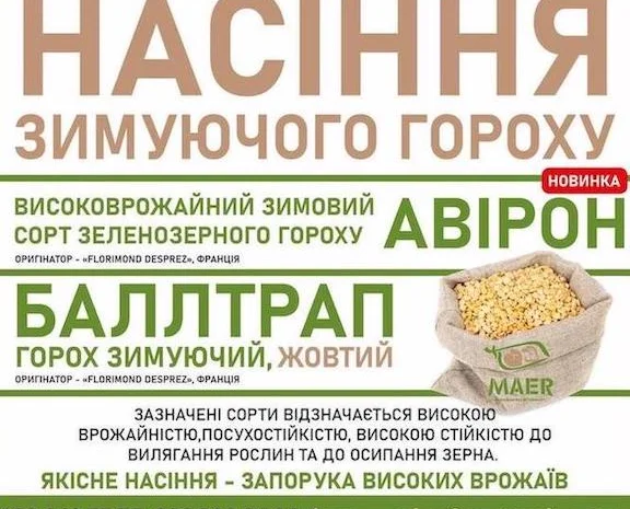 Посівний матеріал зимуючого гороху Баллтрап, Авірон- фото № 1