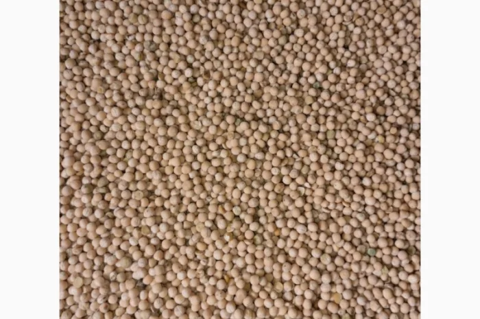 Продам Горох. Менський район- фото № 1