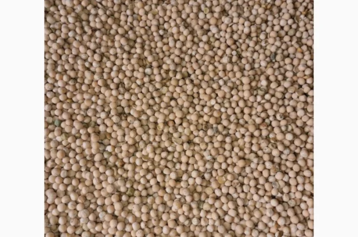 Продам Горох. Менський район- фото № 2