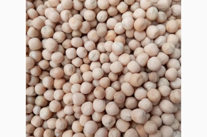 Семена Гороха(ЭЛИТА)- фото № 1