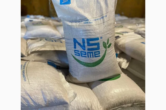 Семена озимого гороха НС Мороз 1 репродукция- фото № 2