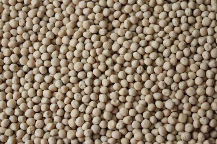 Продаємо горох(жовтий)- фото № 2