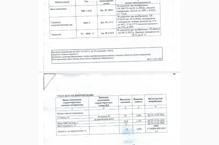 Насіння Червоної Сочевиці MAXIM- фото № 1