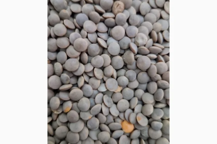 Чечевица Красная- фото № 1