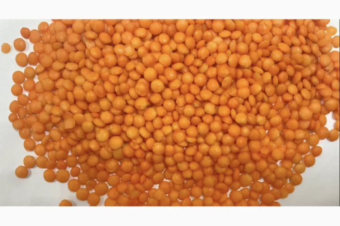 Червона чечевиця в мішках по 25 кг оптом- фото № 1