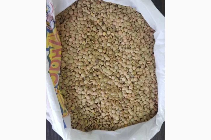 Семена чечевицы зеленой сорт Линза- фото № 1