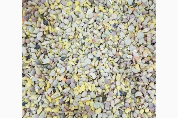 Чечевица зеленая колотая дробленая после очистки- фото № 1