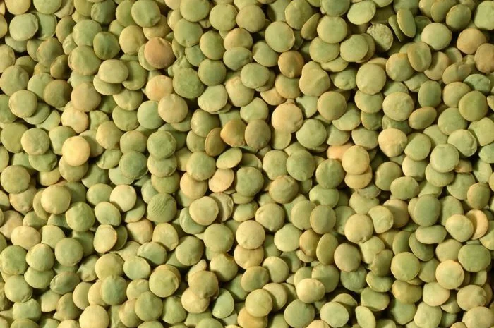 Чечевица, сочевиця, lentils от производителя 2024- фото № 1