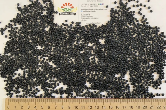 Насіння сочевиці (білуга чорна)- фото № 1