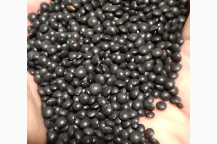 Насіння сочевиці (білуга чорна)- фото № 3