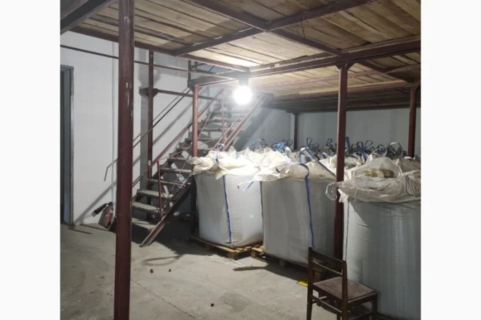 Насіння сочевиці (білуга чорна)- фото № 7