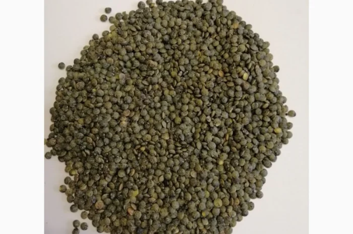 Продаем семена чечевицы сорт Пюи (Французская)- фото № 1