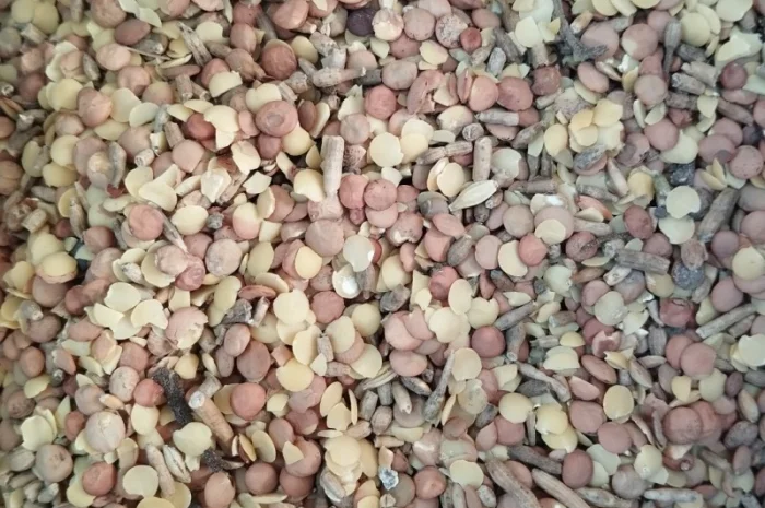 Продаются отходы зеленой чечевицы- фото № 1