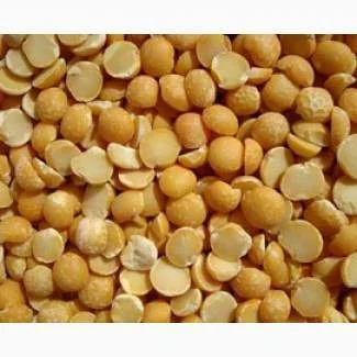 Куплю половинки сои и отходы кукурузы- фото № 1