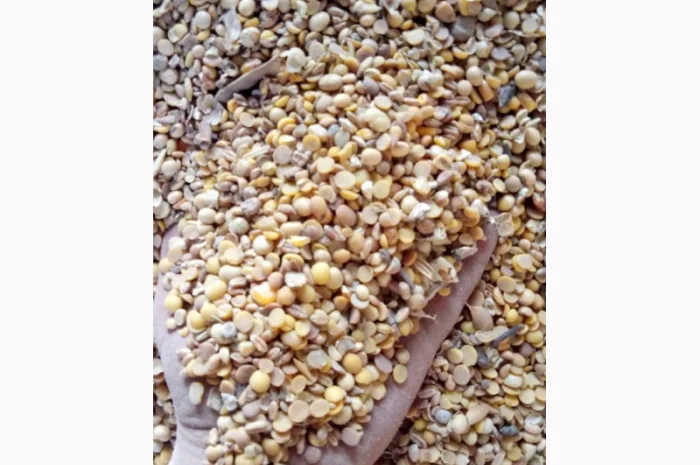 Куплю отходы кукурузы и половинки сои- фото № 1