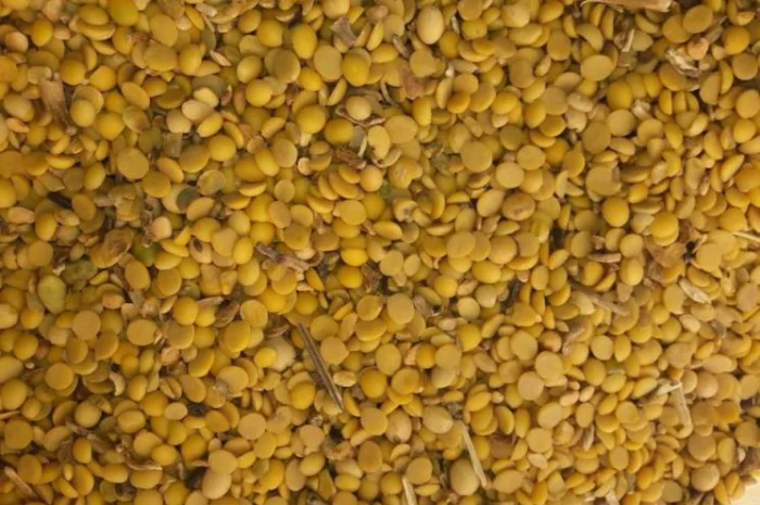 Куплю сою, зерновідходи кукурудзи- фото № 1