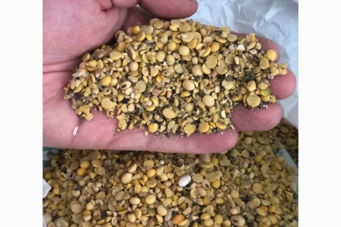 Куплю з самовивозом половинки сої- фото № 1