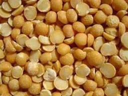 Купую половинки сої- фото № 1