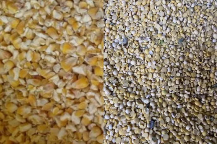 Куплю половинки сої та биту кукурудзу- фото № 1