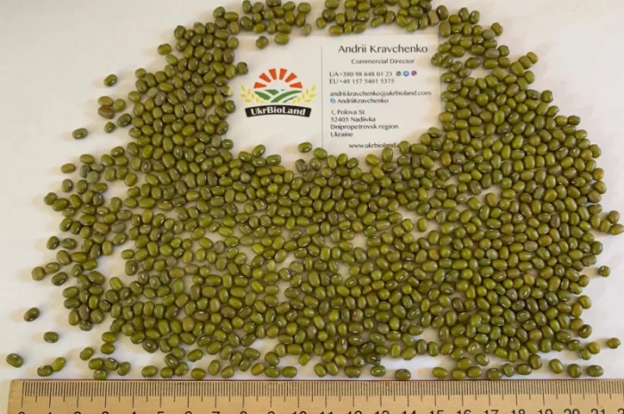 Насіння машу органічного від виробника- фото № 1