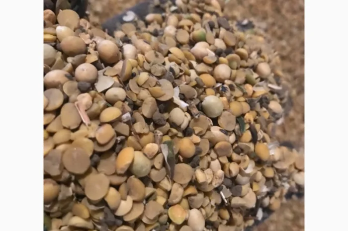 Половинки сої, відходи кукурудзи. Куплю. Самовивіз- фото № 1