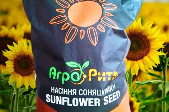 Соняшник Альдазор – высокоурожайный гибрид- фото № 1