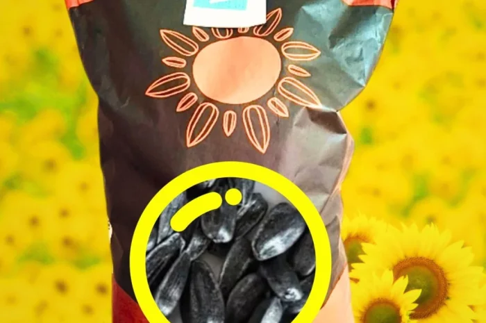 Соняшник Альдазор - высокоурожайный гибрид- фото № 1