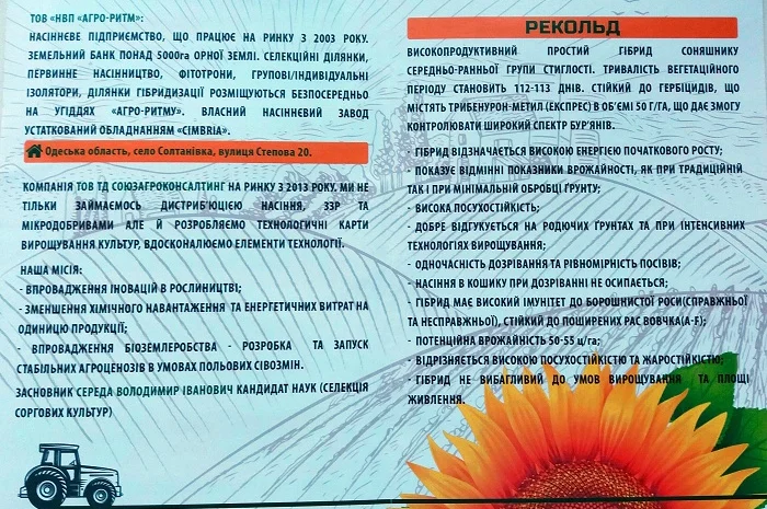 Соняшник Рекольд під Гранстар- фото № 3