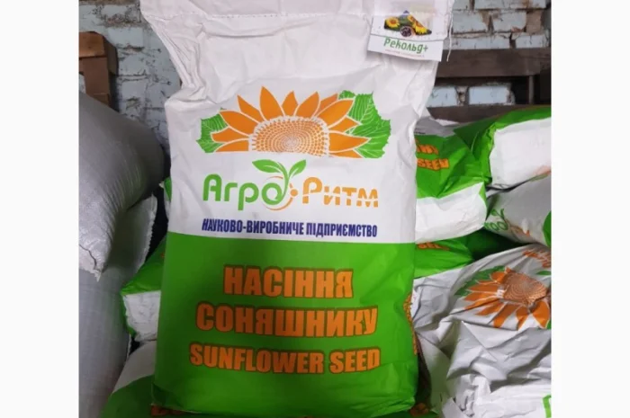 Соняшник Рекольд під Гранстар- фото № 4