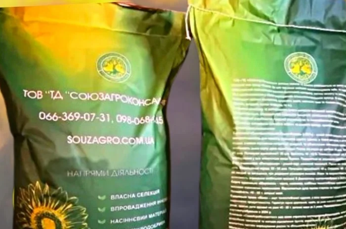 Сортовой соняшник Синельниківський УльтраРанній (СУР) на продаж- фото № 2