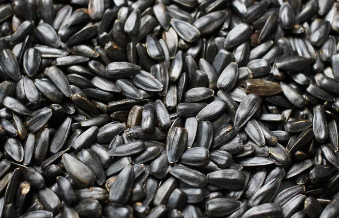 Покупаем кондитерскую семечку крупным оптом- фото № 1