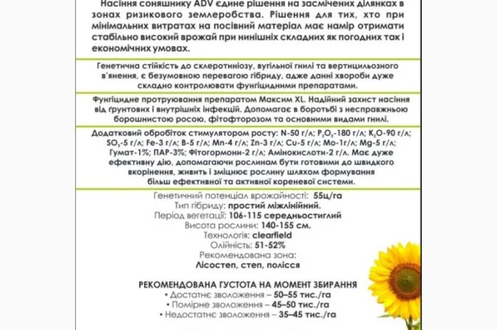 Насіння соняшнику "СОЛО" от AgroDV в Черкассах- фото № 2