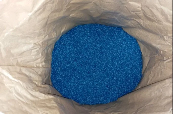 Насіння соняшнику "СОЛО" от AgroDV в Черкассах- фото № 3