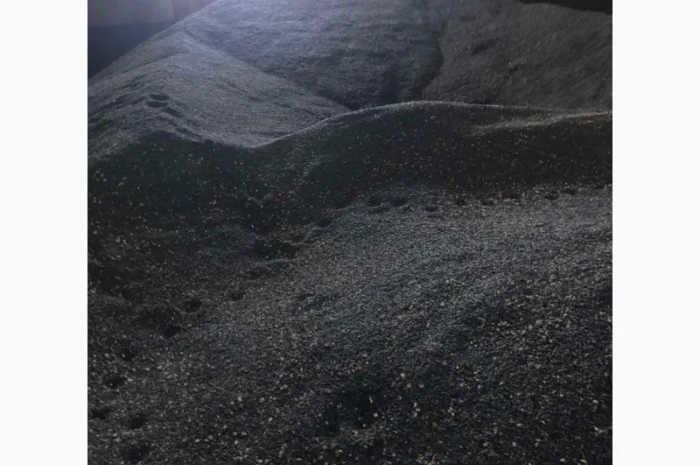 Продажа подсолнечника 2024 года урожая- фото № 1