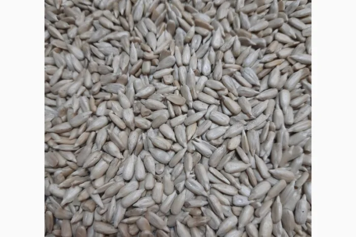 Ядро насіння соняшника у продажу- фото № 1