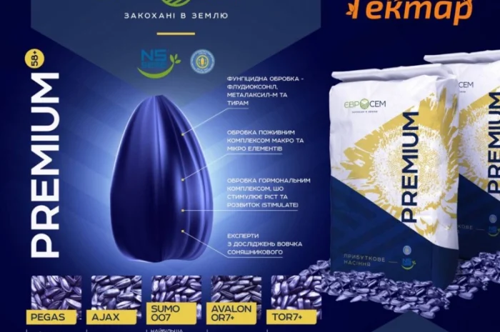 Гибрид подсолнечника ТОР 7+ NS H 7749- фото № 1