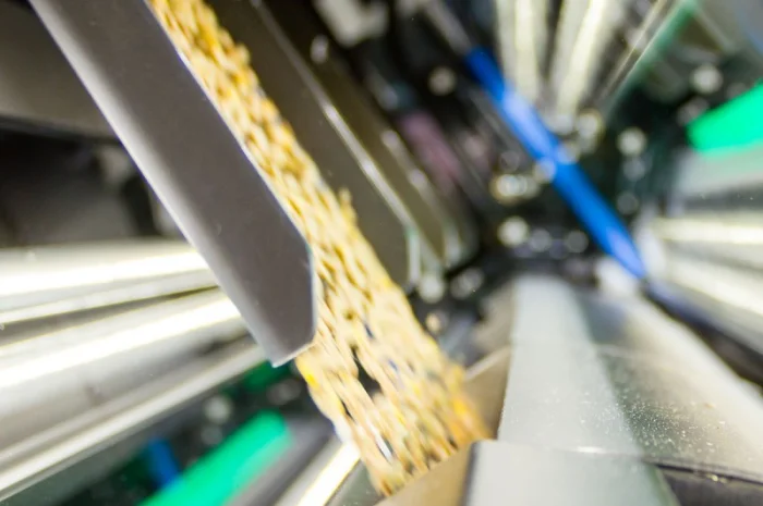 Калиброванные семена подсолнечника Лакомка- фото № 1