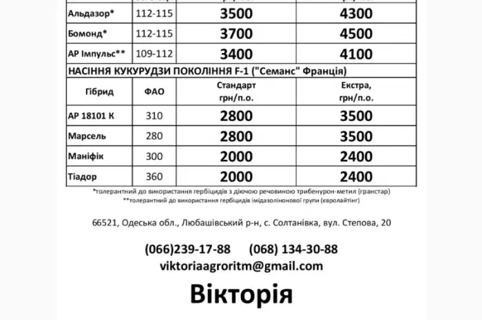 Посівний матеріал соняшнику- фото № 1