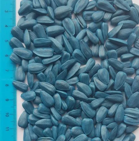 Насіння кондитерського сорту соняшника Смарагд в продаже- фото № 1