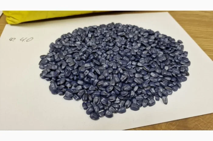 Насіння соняшника Суліко – під гранстар- фото № 3