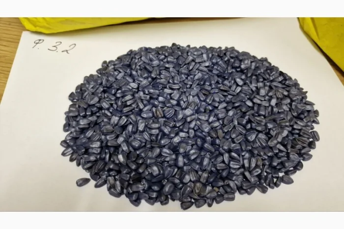 Насіння соняшника Суліко – під гранстар- фото № 4